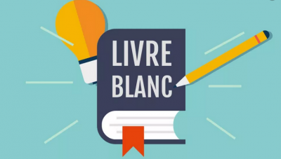 Livre blanc : trucs et astuces pour un e-commerce différenciant